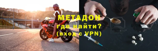 сатива Беломорск