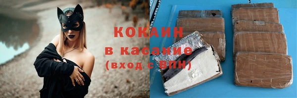 сатива Беломорск