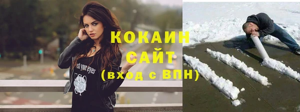 сатива Беломорск