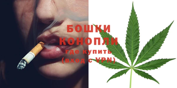 сатива Беломорск