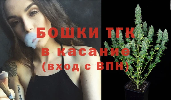 сатива Беломорск