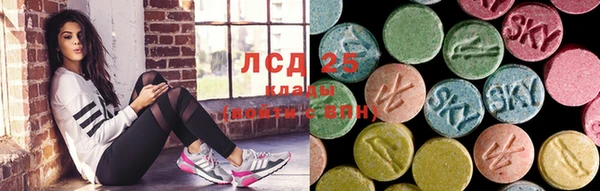 сатива Беломорск
