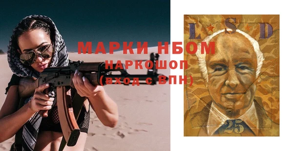 сатива Беломорск