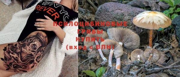 apvp Белокуриха